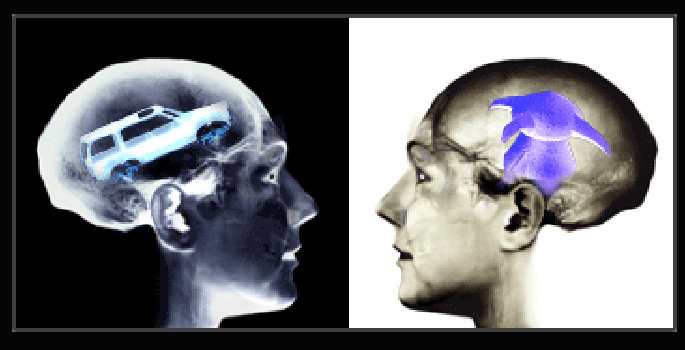 Vanderbilt University