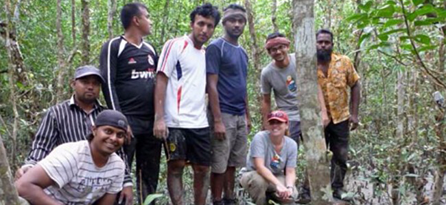 Surface Elevation Tables (SETs) installed in the Sundarbans will measure relative elevation changes in this pristine wetland area. 