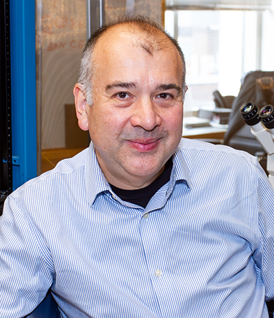 Headshot of Ege Kavalali.