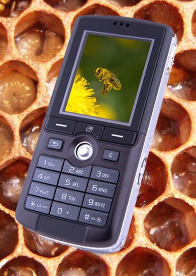 Cell phone with bee & hive