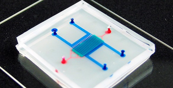 NVUChipweb chip closeup