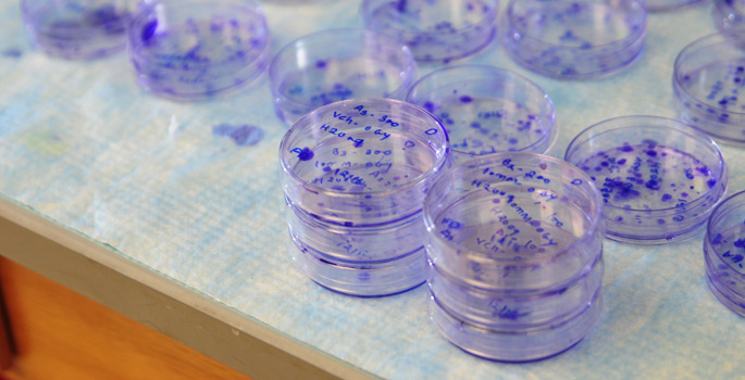 Clinical and translational research at Vanderbilt will be funded over the next five years, thanks to a $46 million renewal grant from the National Center for Advancing Translational Sciences. (Mary Donaldson/Vanderbilt)