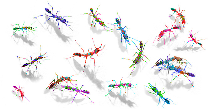 Vanderbilt University