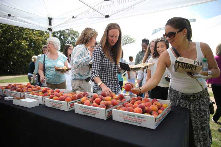 Vanderbilt University