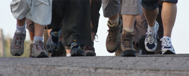 Vanderbilt University