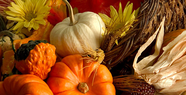 Thanksgiving_fi (iStockphoto)