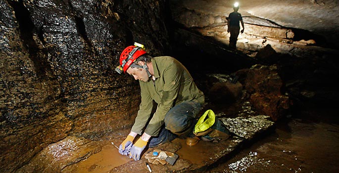Vanderbilt University