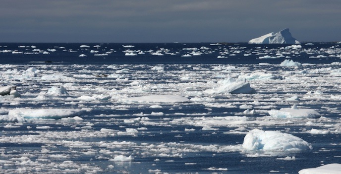 Melting iceberg