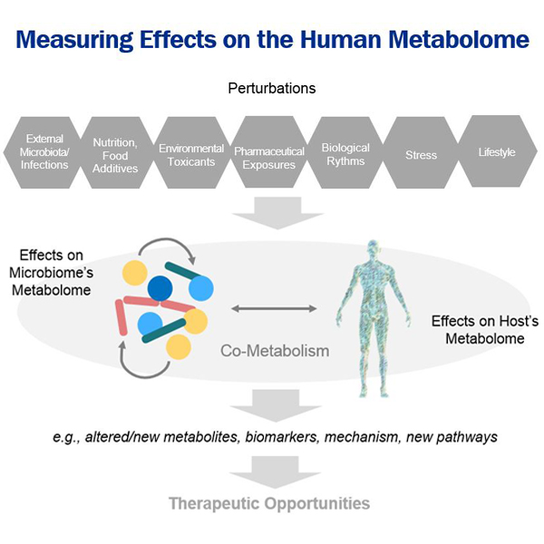 Microbiome Blog – Featured Image