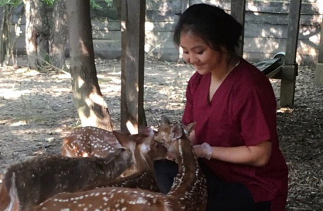 Vanderbilt University