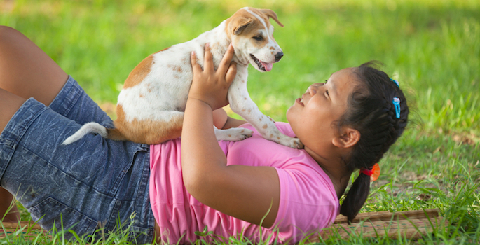 chubby child playing with dog