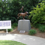 Circus Horse and Rider