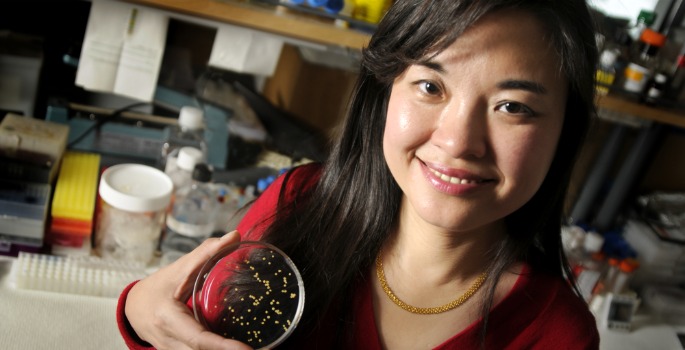 Vanderbilt University