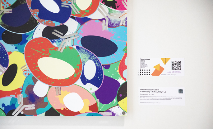 Vanderbilt University