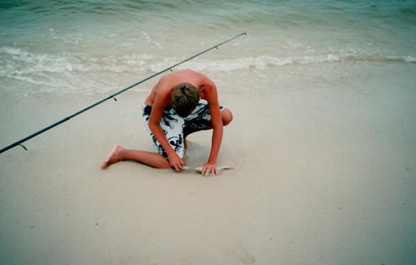 SharkAttackPics_Page_1