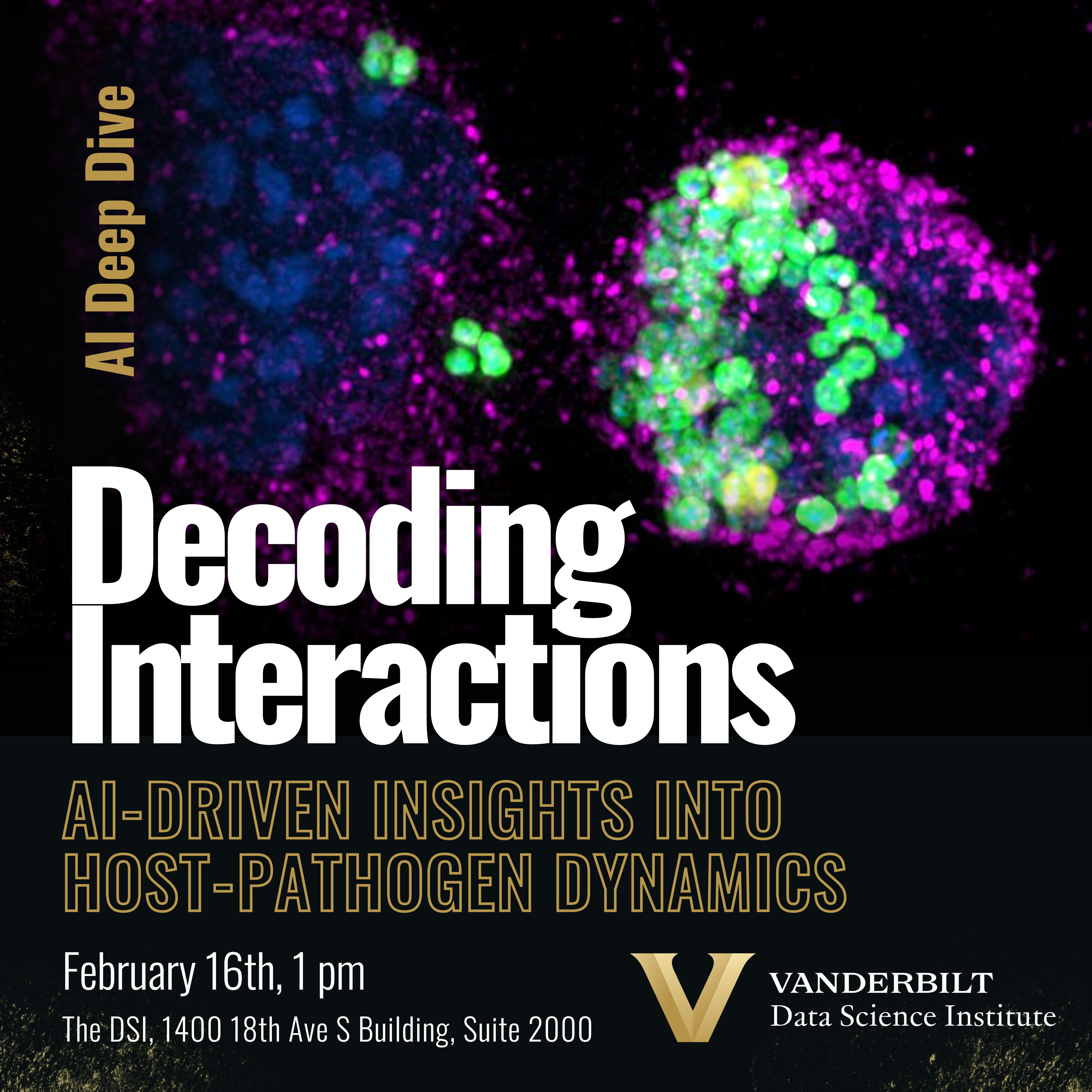 Vanderbilt University