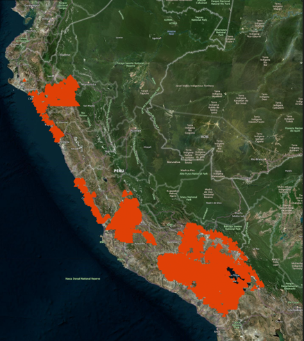 Vanderbilt University