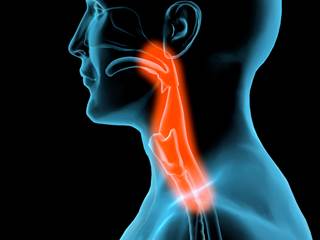 HPV-Associated Cancers HPV-Associated Cancers