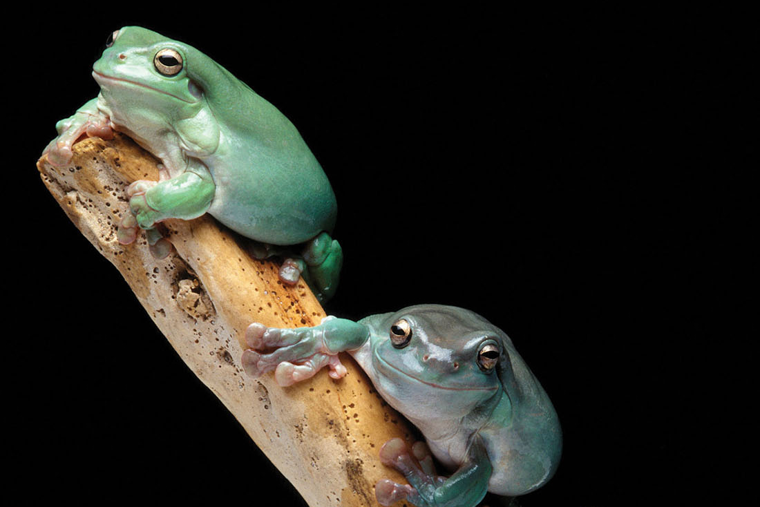 Vanderbilt University