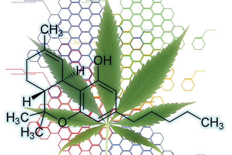 Vanderbilt University