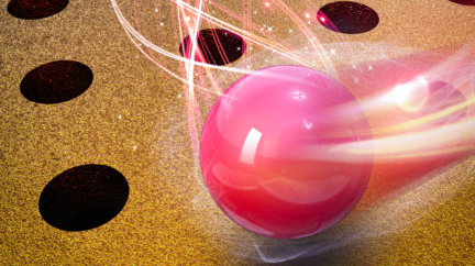 Vanderbilt University