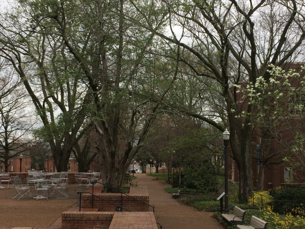 Sidewalk from Rand Terrace to West End Avenue