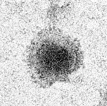 Vanderbilt University