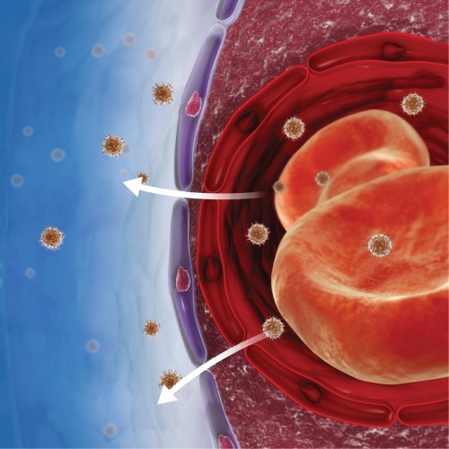 Vanderbilt University