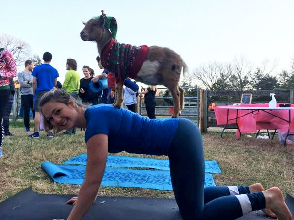 GoatYoga9.jpg