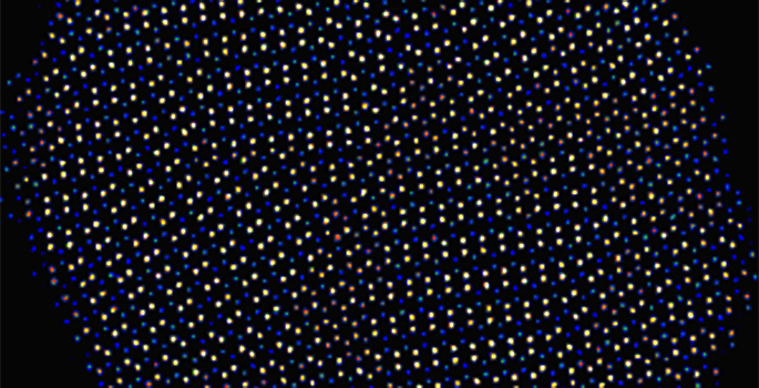 black background with white dots in overlapping grid pattern