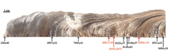 stalagmite with stratifications dated