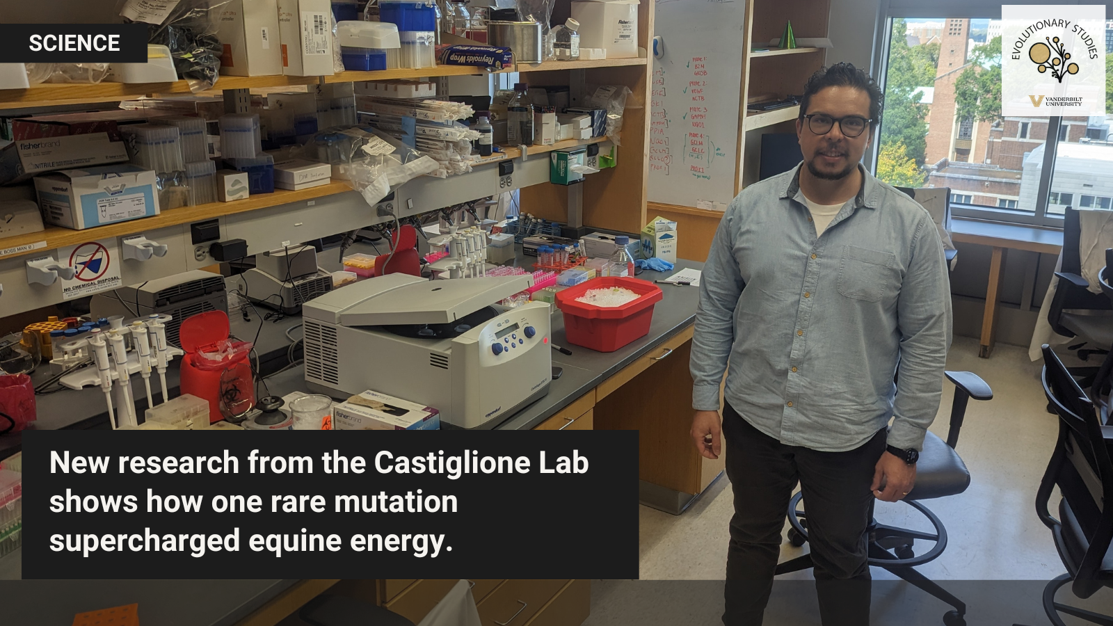 Gianni Castiglione stands in a lab at Vanderbilt University surrounded by scientific equipment, including pipettes, a centrifuge, and ice buckets. He wears glasses and a light blue button-down shirt, smiling slightly with one hand at his side. A caption in a black box reads: “New research from the Castiglione Lab shows how one rare mutation supercharged equine energy.” The Evolutionary Studies Initiative logo is in the top right corner, and a purple border outlines the image.