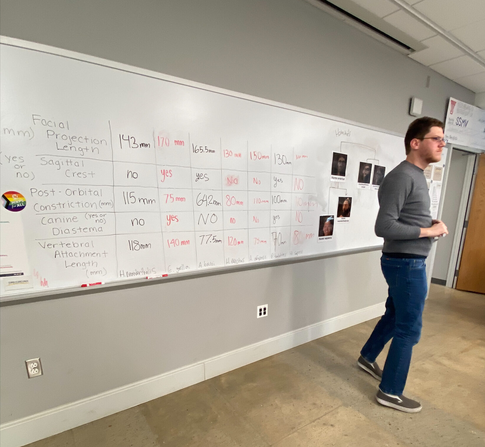 Kyle standing in front of a dry-erase board with skull descriptors written on it. Kyle is wearing a grey long sleeve shirt and jeans.