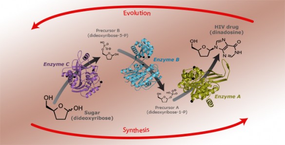 bioretrosynthesisR872res Infographic