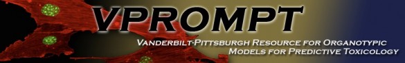 VPROMPT logo