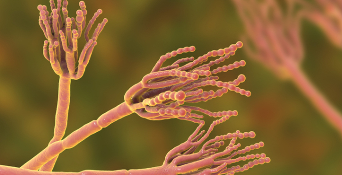 Vanderbilt University