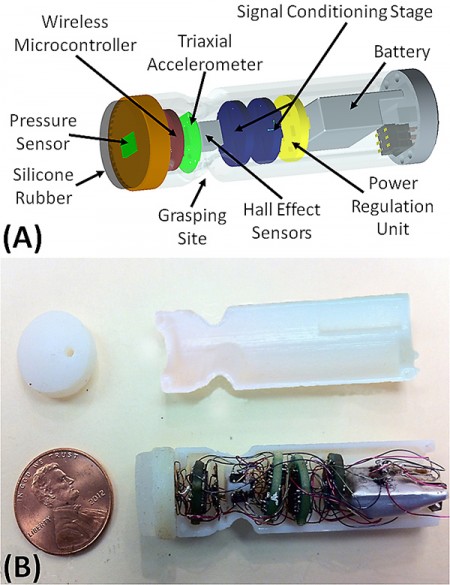 711_20131011120459-Figure2600 palpation capsule