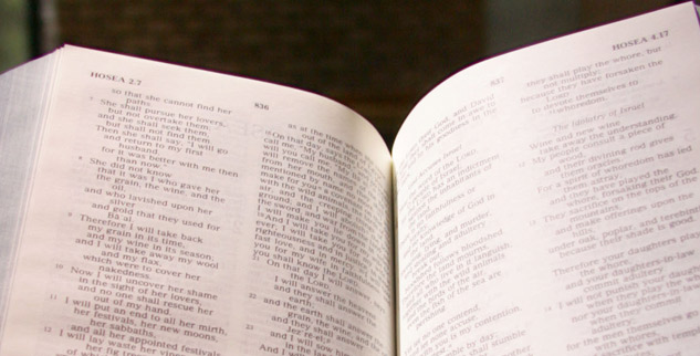 Vanderbilt University