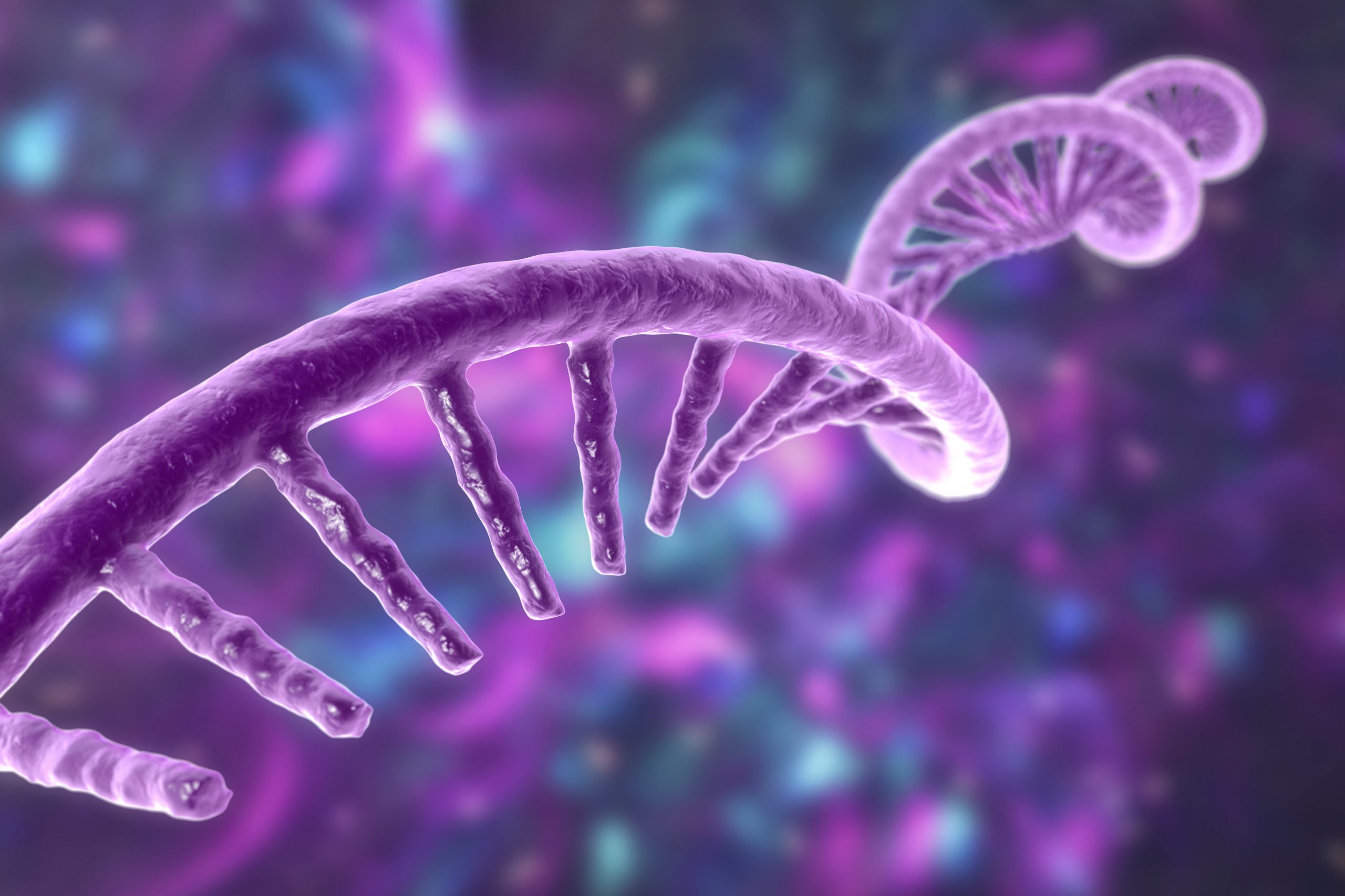 A 3D graphic representing a single-stranded RNA segment. The RNA is purple and the background is purple with blue.