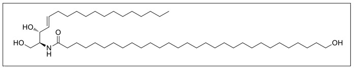 syncore_Omega-hydroxyceramide_nopricing.jpg