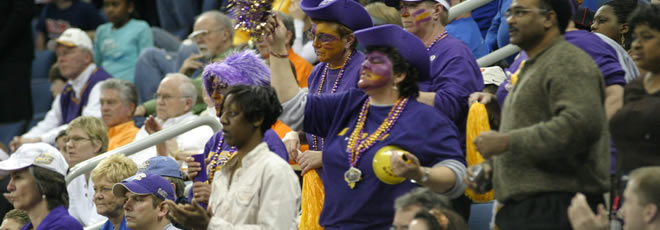 lsufan3.jpg