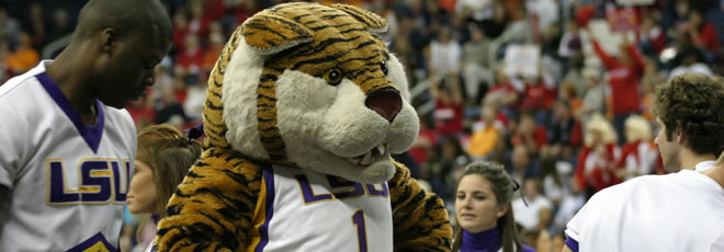 lsutiger.jpg