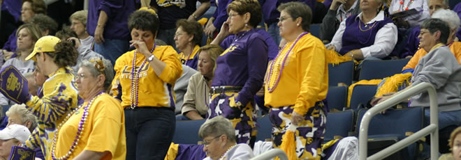 lsufan2.jpg