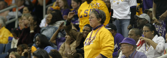 lsufan1.jpg
