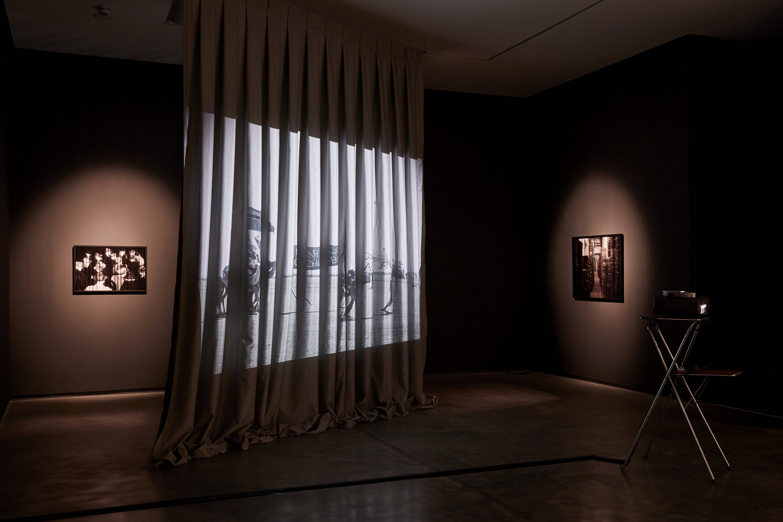 Vesna Pavlović, Fototeka