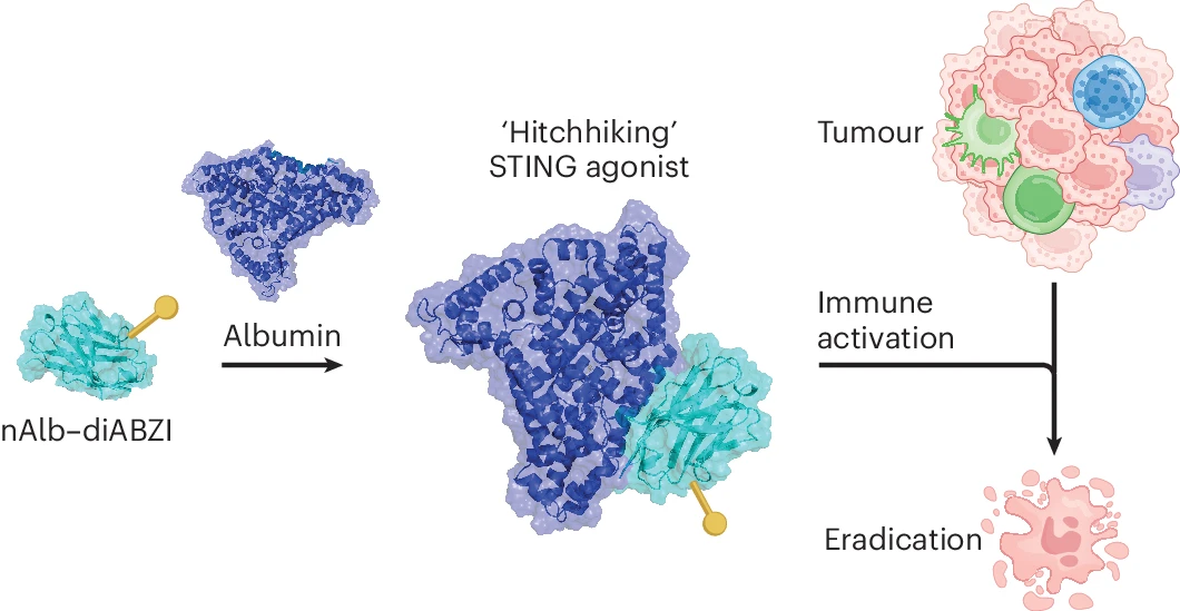 Vanderbilt University