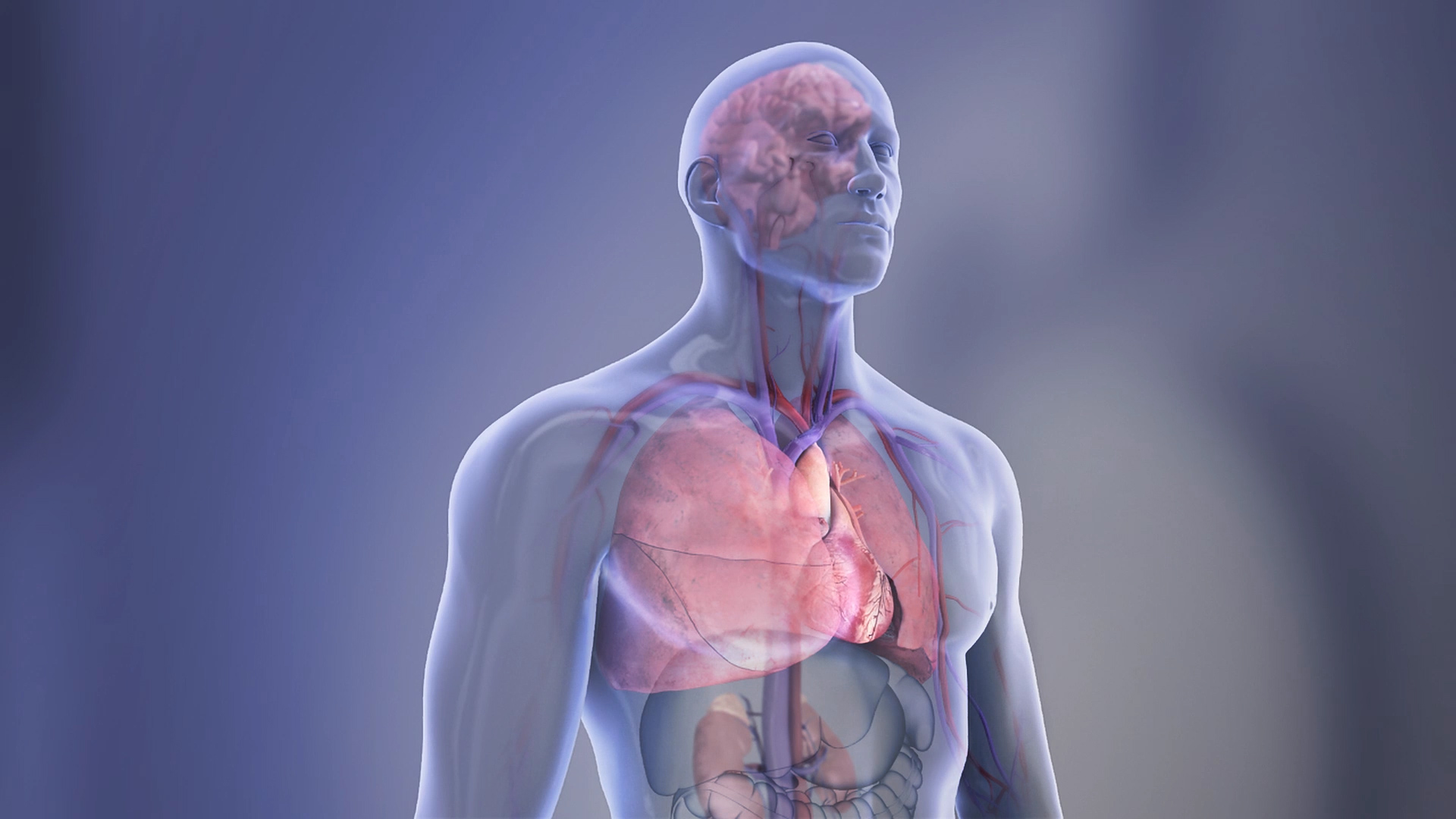 Vanderbilt University