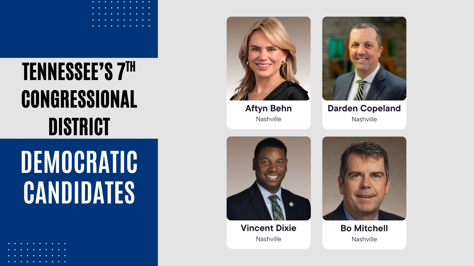 Democratic candidates for TN07
