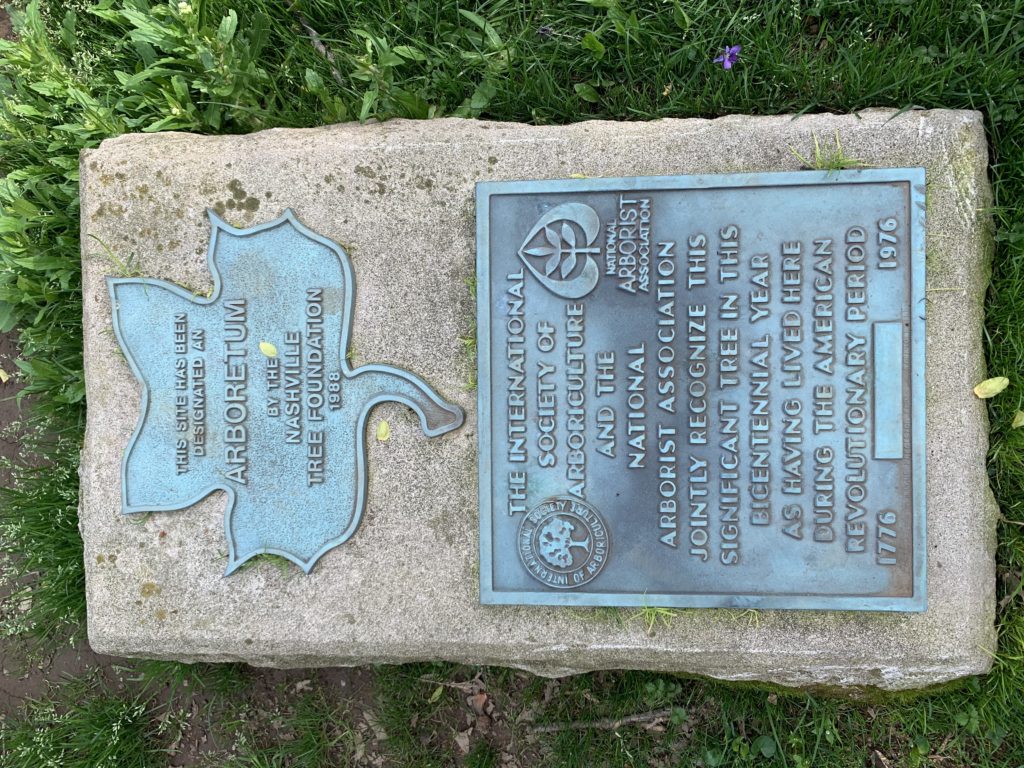 Bicentennial Oak marker