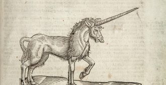 illustration of a unicorn